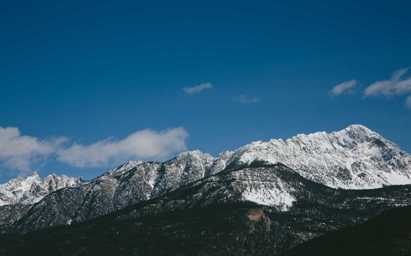 Hawajskie wesele — tropical party na polskim weselu
