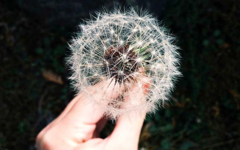 Jak sfotografować stół weselny — tips dla fotografa